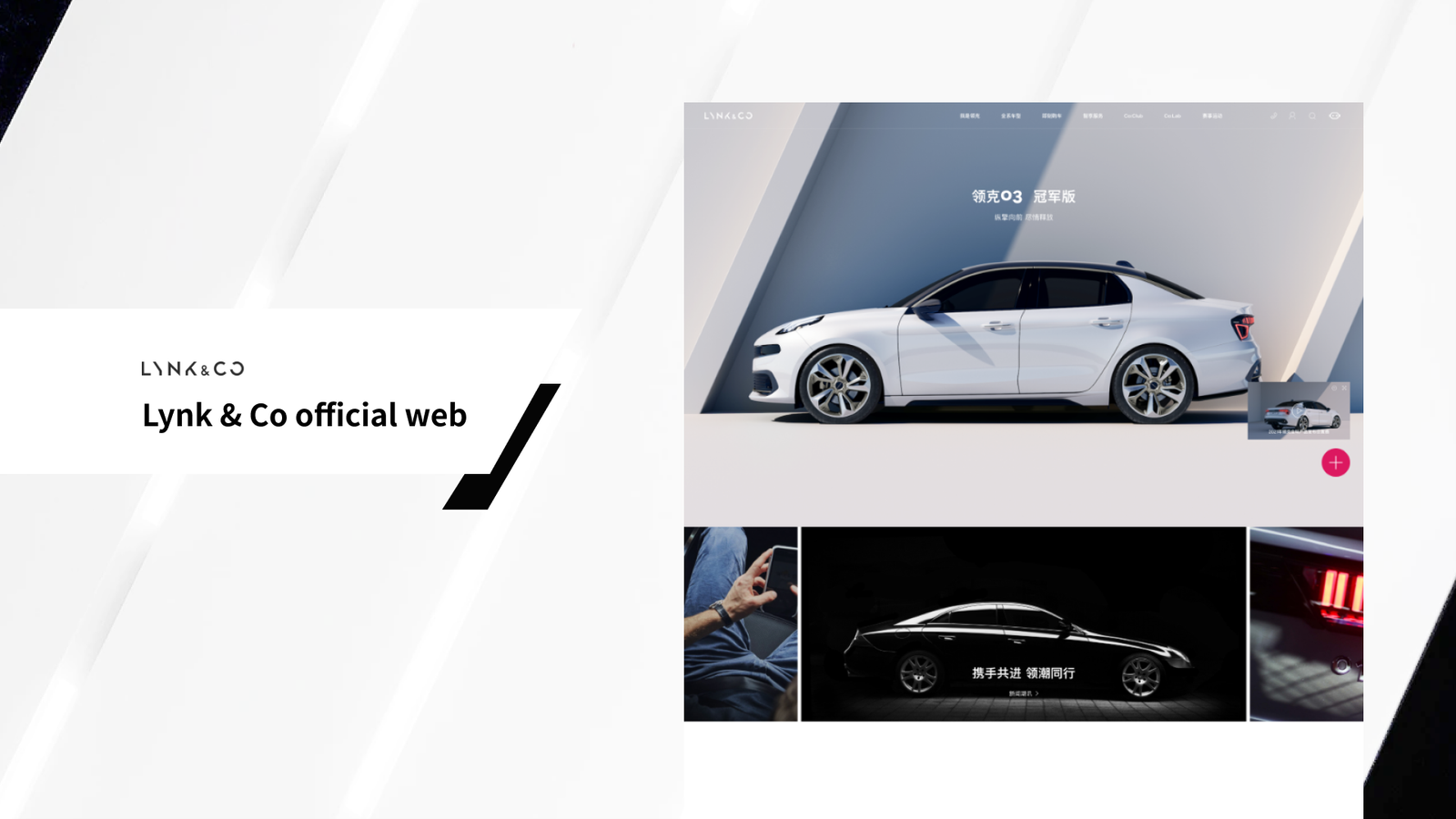 Lynkweb 01